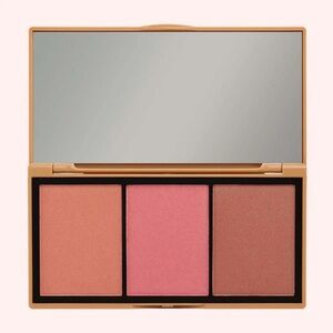 BNIB Jason Wu Trio Blush Palette - Sexed